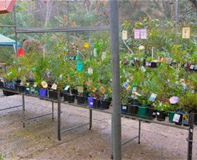Glenbrook Native Plant Reserve And Nursery - Your Accommodation 3