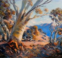 Kunama Snowy Mountains Centre for the Arts - Your Accommodation