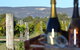 Ugly Duckling Wines - thumb 1