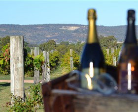 Ugly Duckling Wines - Your Accommodation 1