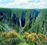 Wollomombi Falls - Your Accommodation
