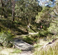 Wollomombi walking track - Your Accommodation