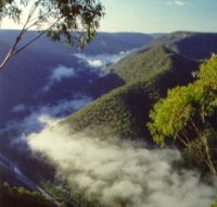 Long Point Lookout - Your Accommodation
