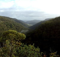 Nattai Gorge Lookout - Your Accommodation