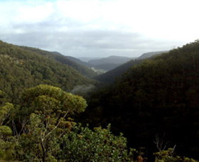 Nattai Gorge Lookout - Your Accommodation 0