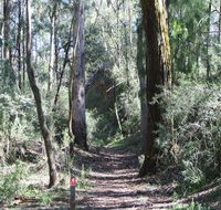 Box Vale Mine Walking Track and Lookout - Your Accommodation