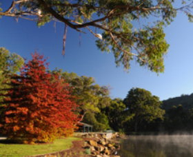 Lake Alexandra Reserve - Your Accommodation 1