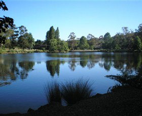 Lake Alexandra Reserve - Your Accommodation 3