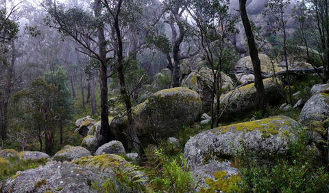 Cathedral Rock National Park - Your Accommodation 2