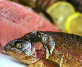 Lovedale Smokehouse Gourmet Pantry, Cafe And Masterclasses - Your Accommodation 0