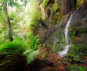 Fairy Bower Falls - Your Accommodation 0