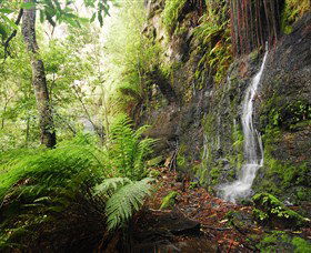 Fairy Bower Falls - Your Accommodation 2