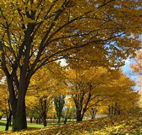 Centennial Park at Cooma - Your Accommodation