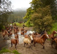 Glenworth Valley Horse Riding - Your Accommodation