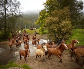 Glenworth Valley Horse Riding - Your Accommodation 0