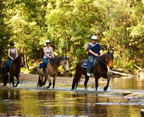 Glenworth Valley Outdoor Adventures - Your Accommodation 2