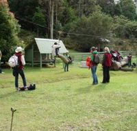 Forest of Tranquillity - Australian Rainforest Sanctuary - Your Accommodation