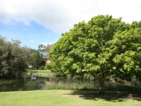 Hervey Bay Botanic Gardens - Your Accommodation 0