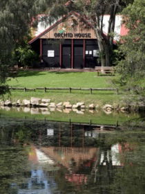 Hervey Bay Botanic Gardens - Your Accommodation 1