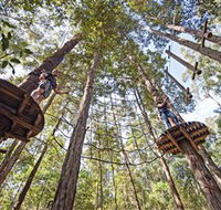 TreeTop Adventure Park Central Coast - Your Accommodation