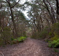 Budawang National Park