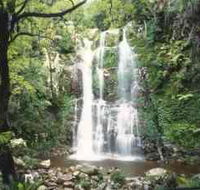 Budderoo National Park - The Falls Walk - Your Accommodation