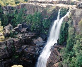 Minnamurra Rainforest Centre: Budderoo National Park - Your Accommodation 0