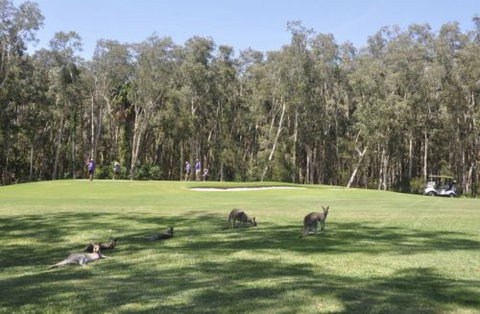 Emerald Downs Golf Course - Your Accommodation 4