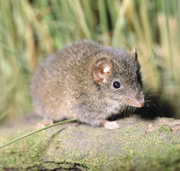 Munmorah State Conservation Area - Your Accommodation