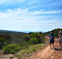 Moonee Beach trail - Your Accommodation