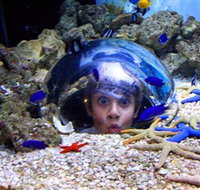 Sea Life Sunshine Coast