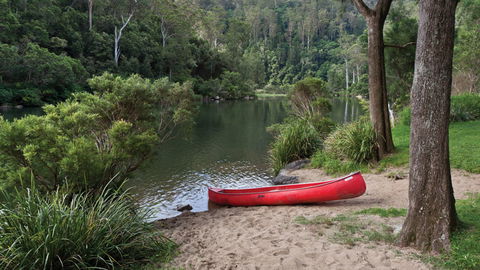 Nymboi-Binderay National Park - Your Accommodation 1