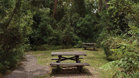 Nymboi-Binderay National Park - Your Accommodation 3