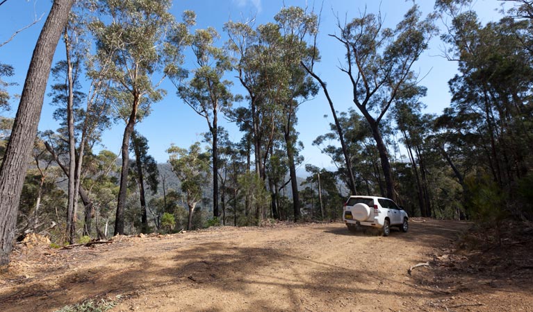 Wadbilliga NSW Your Accommodation