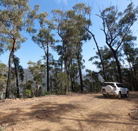 Wadbilliga Road drive - Your Accommodation