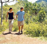 Hoddles Track - Your Accommodation
