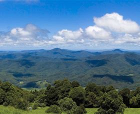 Griffith Lookout - Your Accommodation 0