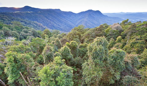 Skywalk Lookout - Your Accommodation 2