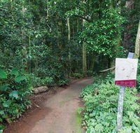 Walk with the Birds boardwalk - Your Accommodation