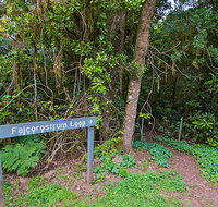 Falcorostrum loop walking track - Your Accommodation