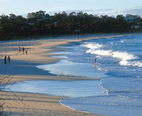 Mollymook Beach - Your Accommodation 1