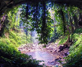Dorrigo Rainforest Centre - Your Accommodation 1