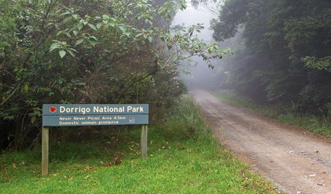 Never Never Picnic Area - Your Accommodation 3