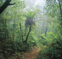 Wagawn - Your Accommodation