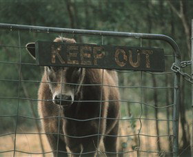 Old Nerrigundah Settlement Trail - Your Accommodation 1