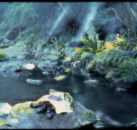 Coomera circuit - Your Accommodation