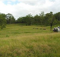 Numinbah Valley Adventure Trails - Your Accommodation