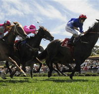 Moruya Racecourse - Your Accommodation
