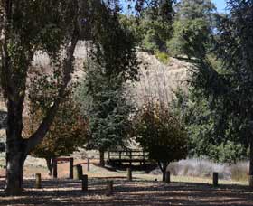 Oak Grove Walk, Balingup - Your Accommodation 2