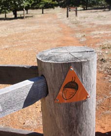 Oak Grove Walk, Balingup - Your Accommodation 3
